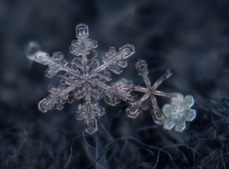 3-snowflake-closeup-photography